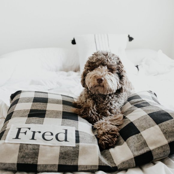 Plaid Dog Bed Cover - Dog Beds - Personalized Dog Bed - Picture 2 of 5